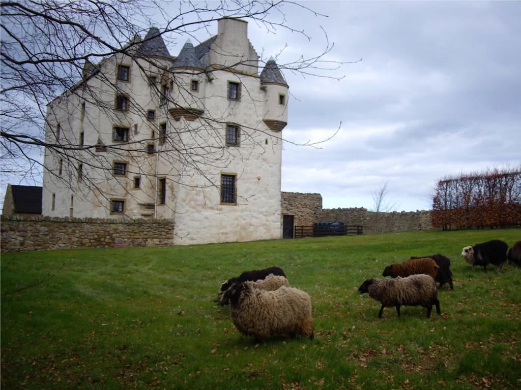 Faside Estate Bed & Breakfast Musselburgh Dış mekan fotoğraf