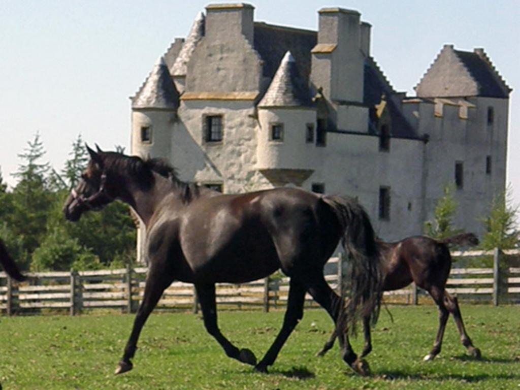 Faside Estate Bed & Breakfast Musselburgh Dış mekan fotoğraf
